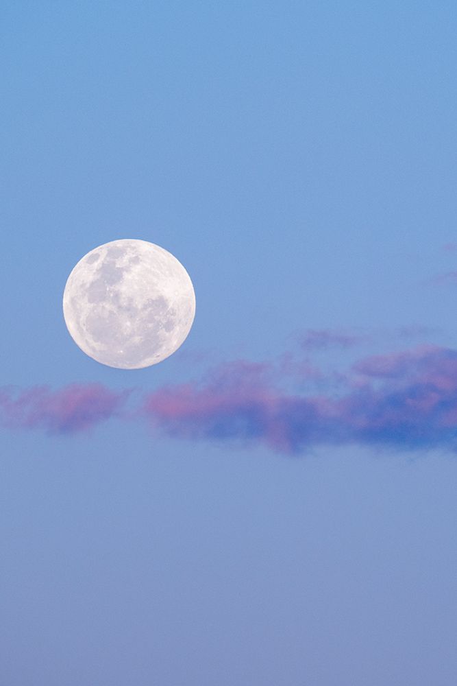 Zambia, South Luangwa National Park. Full moon.